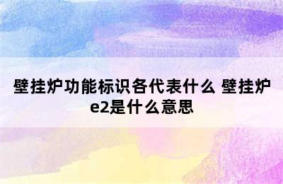 壁挂炉功能标识各代表什么 壁挂炉e2是什么意思